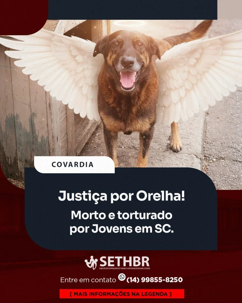 🐾 JUSTIÇA POR ORELHA: ATÉ QUANDO?