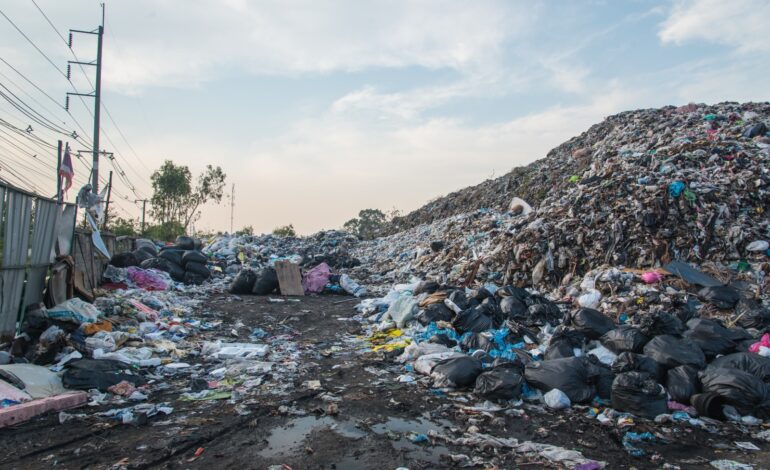 Bauru discute futuro da limpeza urbana em audiência sobre PPP de R$ 6 bilhões